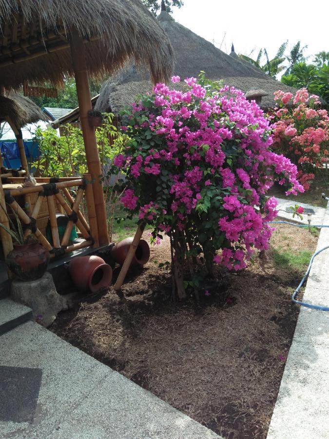 Tua Tua Keladi Bungalows Gili Air Exterior foto